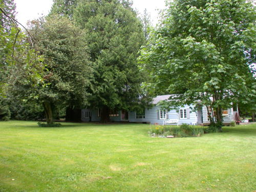 Lower level fireplace